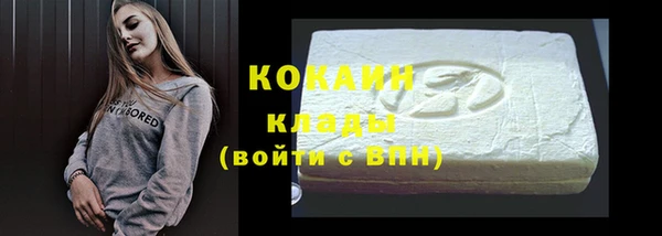 стаф Дмитриев