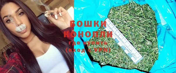 стаф Дмитриев